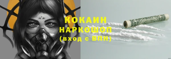 ешки Алексин