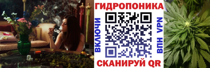 Канабис White Widow  Купить где  Миньяр 